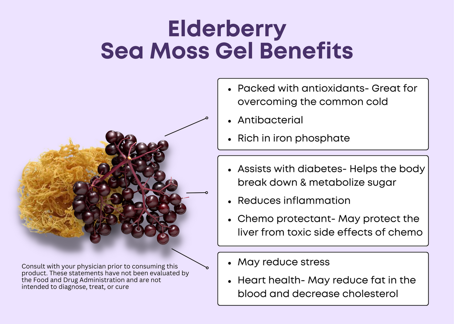 Elderberry Sea Moss Gel