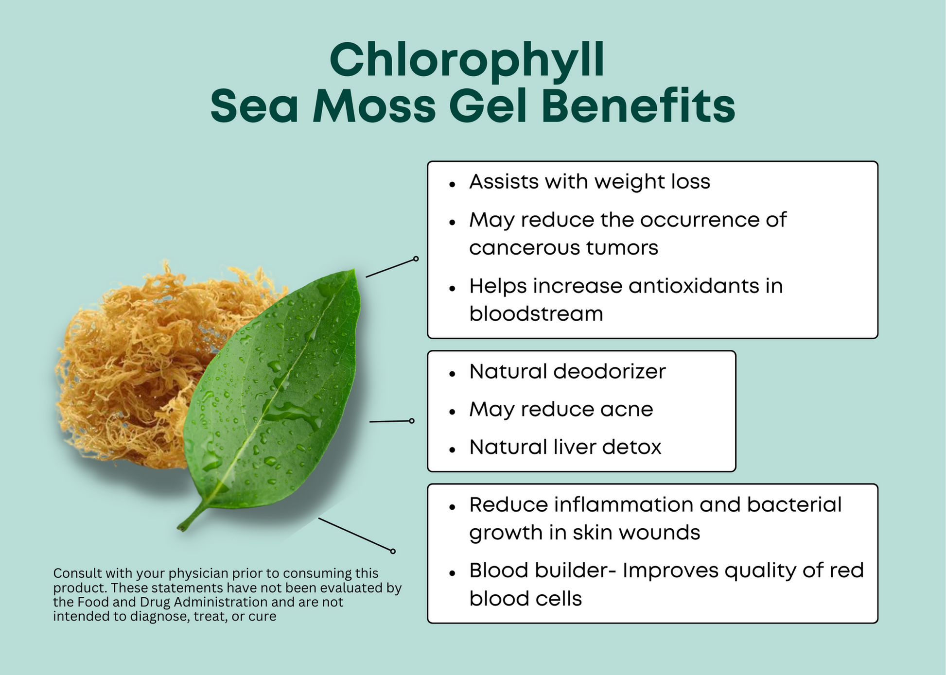 Chlorophyll Sea Moss Gel – Hella Healthy Essentials